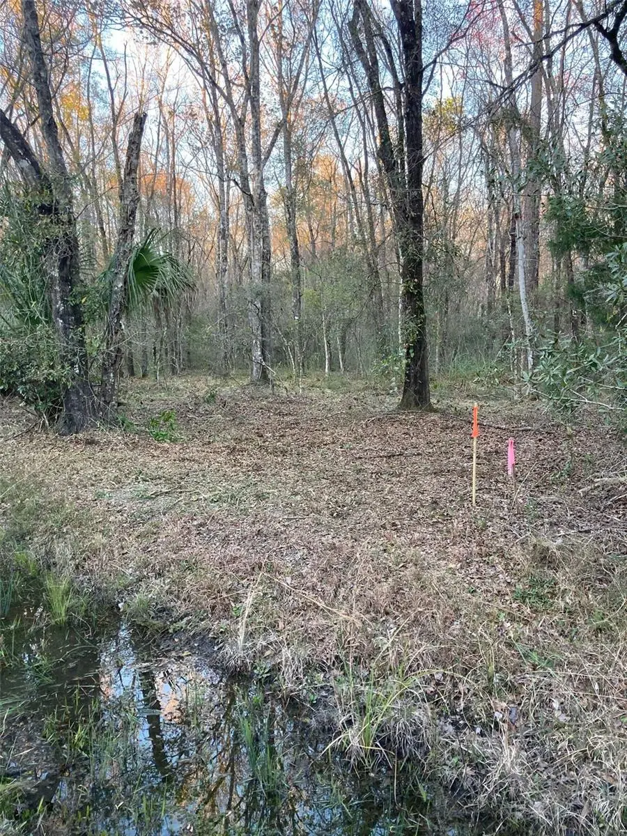 10450 Weatherby Avenue, Hastings, FL 32145 - Image #2