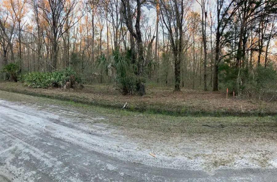 10450 Weatherby Avenue, Hastings, FL 32145 - Image #3