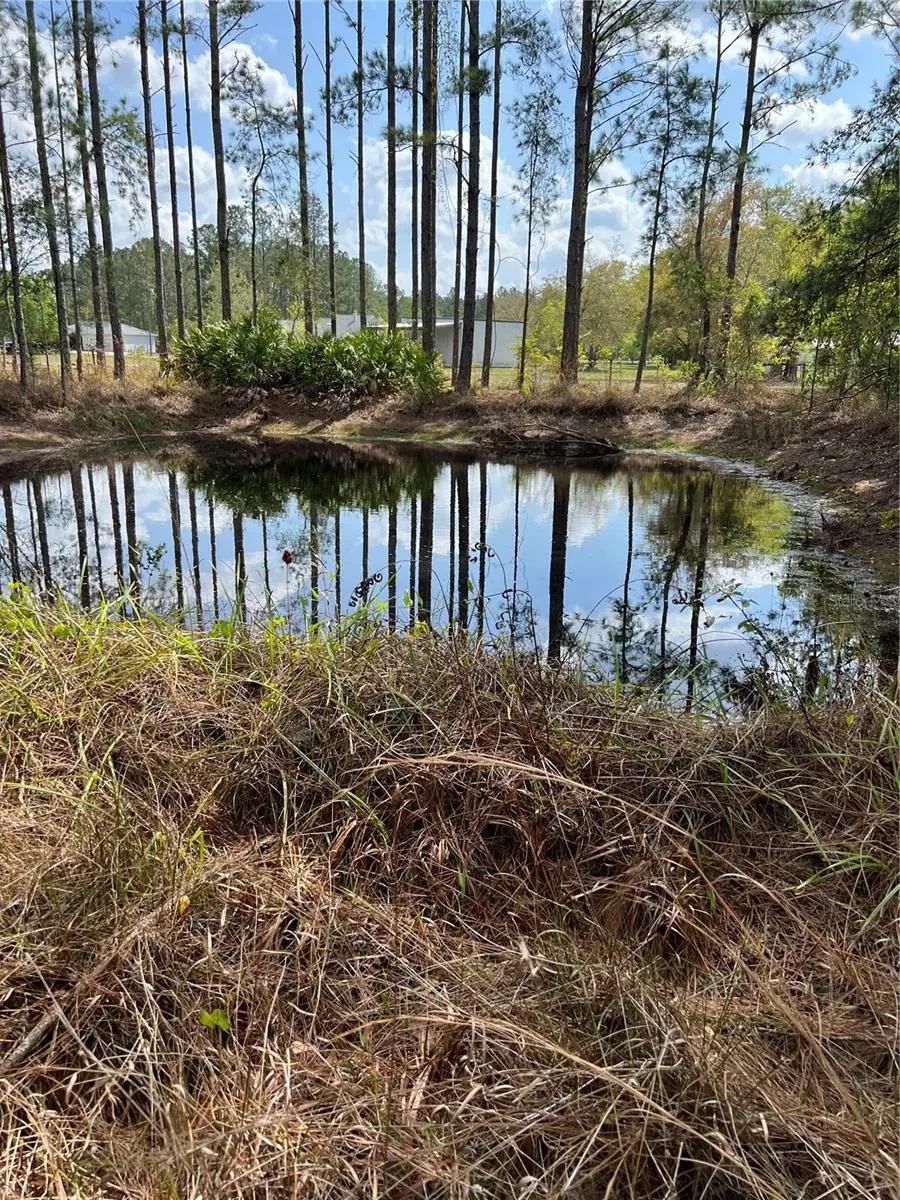 4343 W State Highway 100, Bunnell, FL 32110 - Image #3