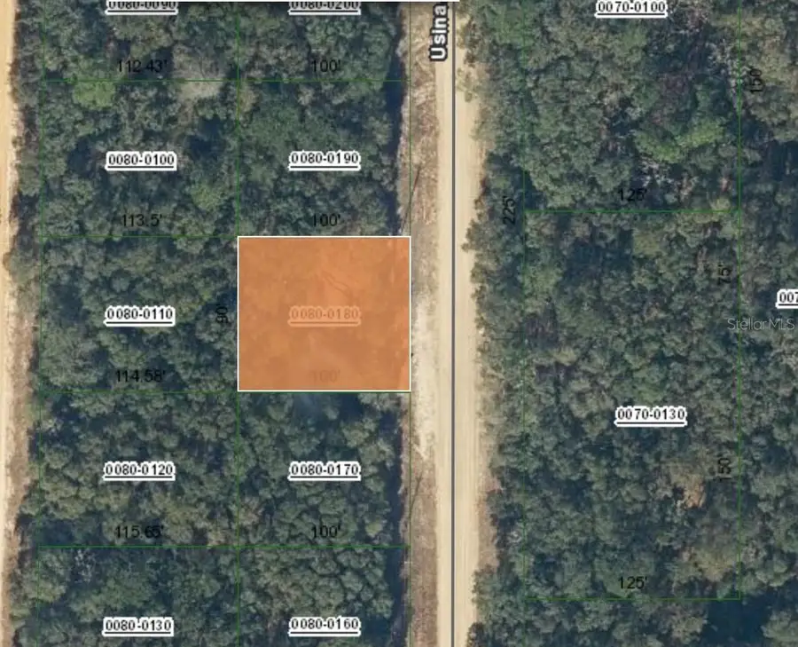 1107 Usina Avenue, Interlachen, FL 32148 - Image #2