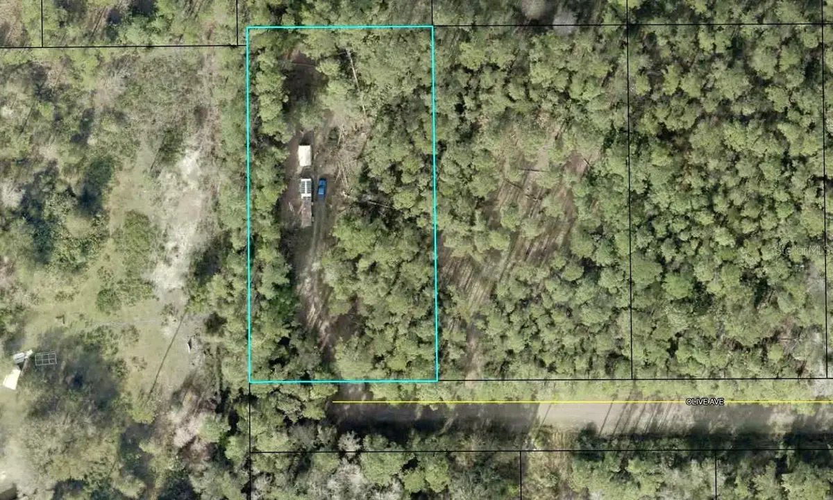 5334 Olive Avenue, Bunnell, FL 32110 - Image #1