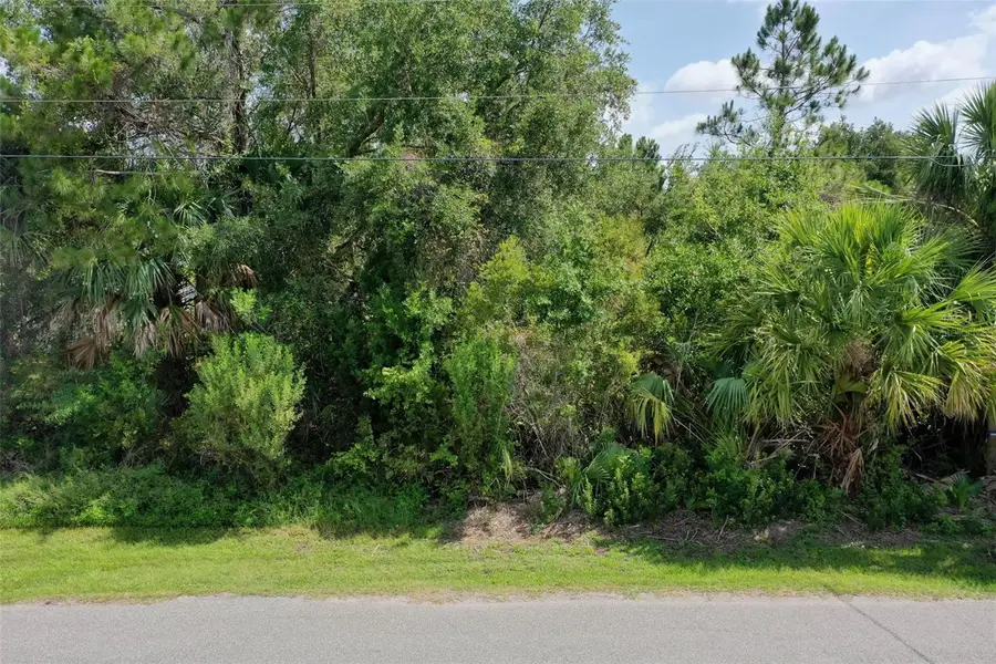 4 Buffalo Plains Lane, Palm Coast, FL 32137 - #2