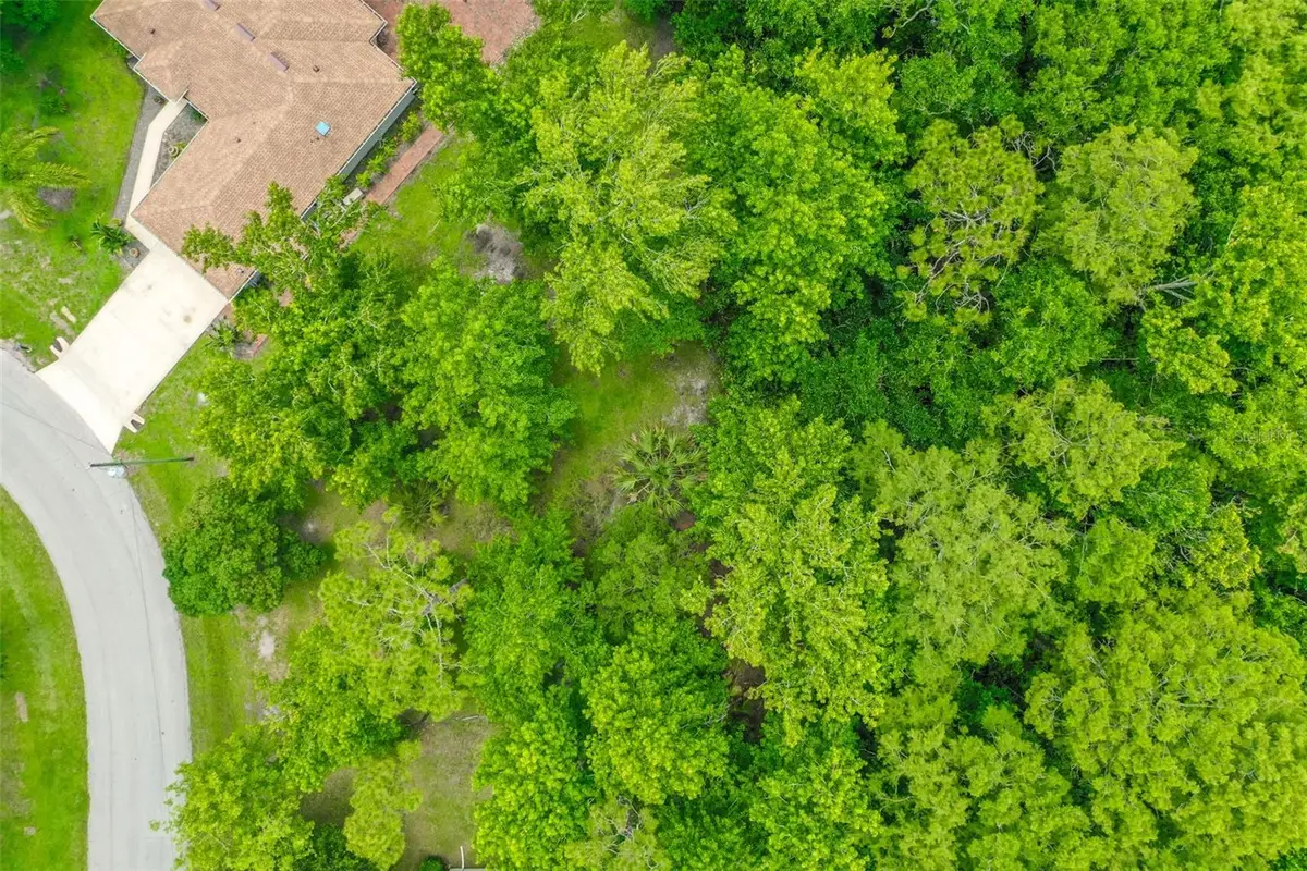 9 Zeolite Place, Palm Coast, FL 32164 - #1