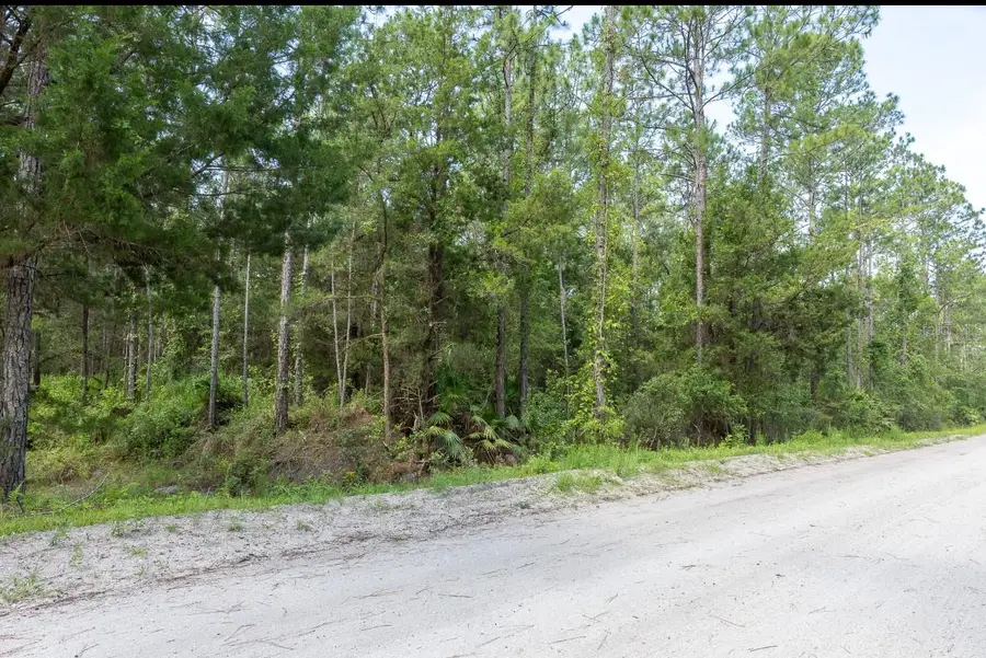 5661 Ironwood Avenue, Bunnell, FL 32110 - Image #2