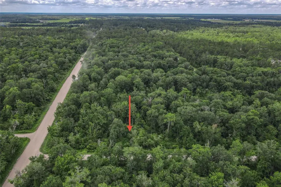 4001 Evergreen Avenue, Bunnell, FL 32110 - Image #2