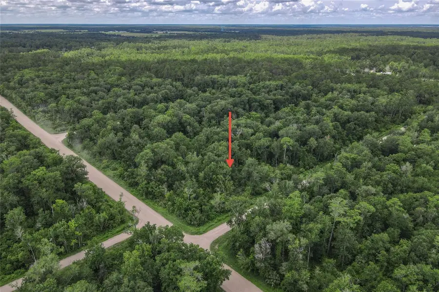 4001 Evergreen Avenue, Bunnell, FL 32110 - Image #3