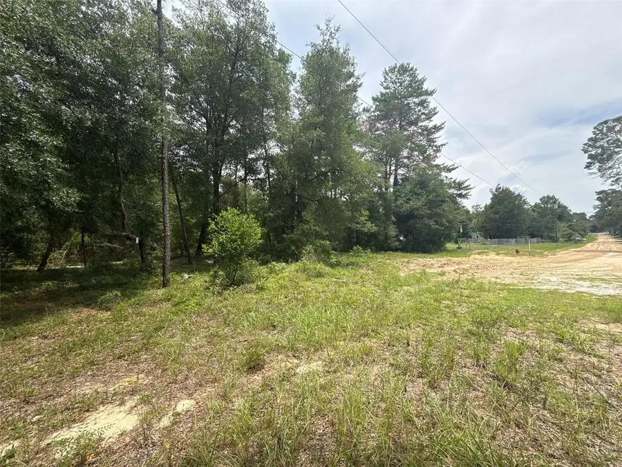 140 Cherokee Drive, Interlachen, FL 32148 - Image #3