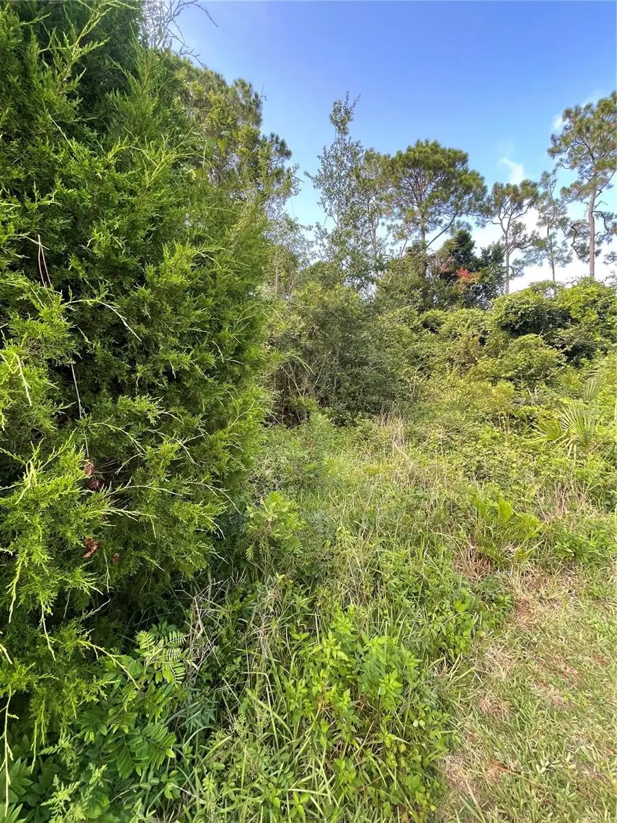 7 Birchfield Place, Palm Coast, FL 32137 - Image #3