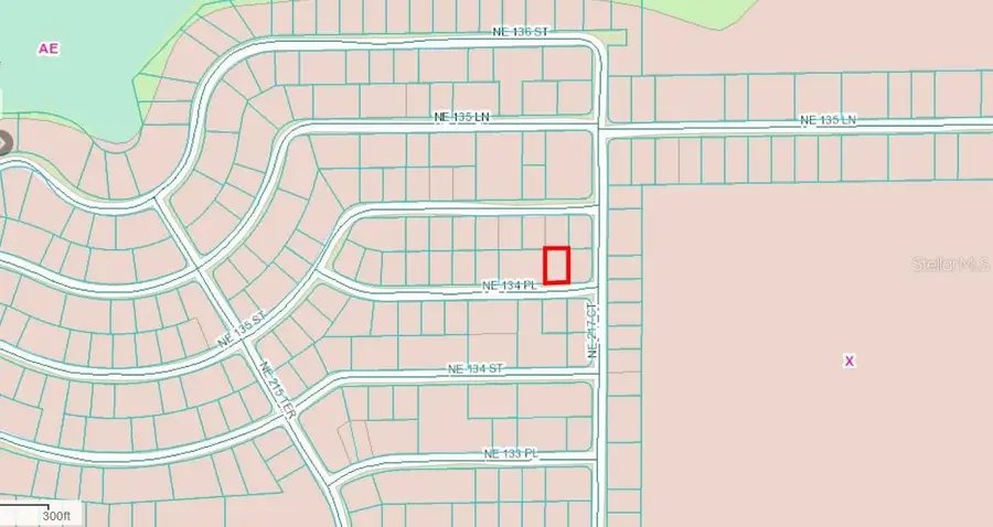 Ne 134 Pl, Salt Springs, FL 32134 - Image #3