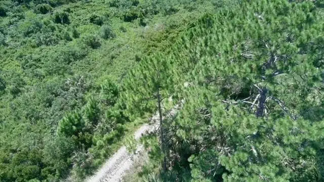 3 Serenity Place, Palm Coast, FL 32164 - #2