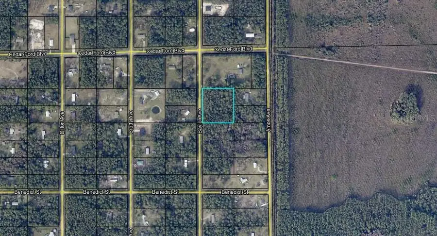 10420 Baylor Avenue, Hastings, FL 32145 - Image #3