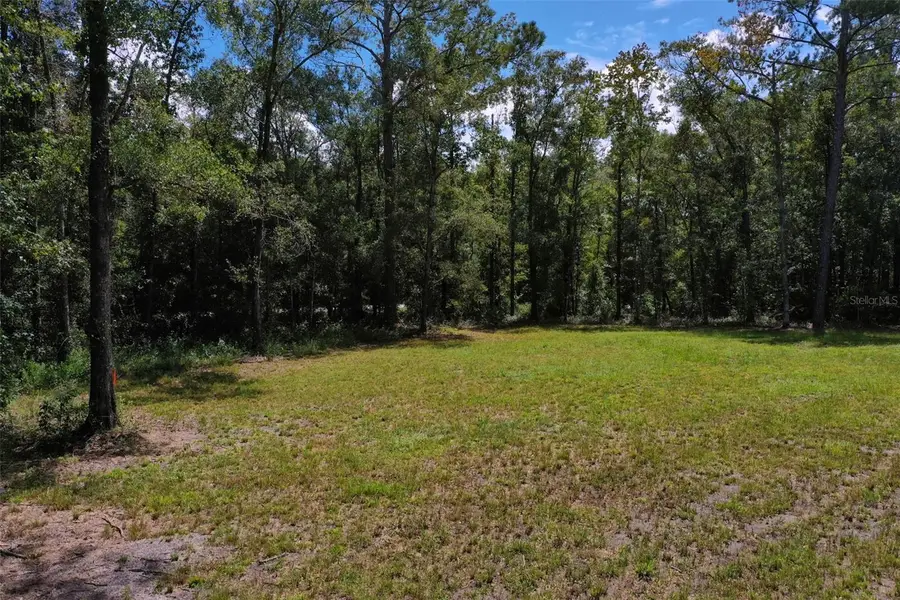 4815 Olaf Street, Hastings, FL 32145 - Image #3