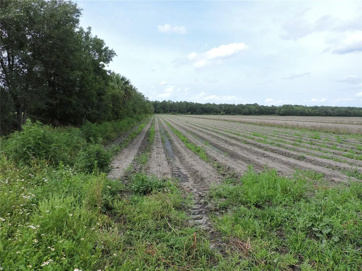 County Road 108 Road, Bunnell, FL 32110 - Image #1