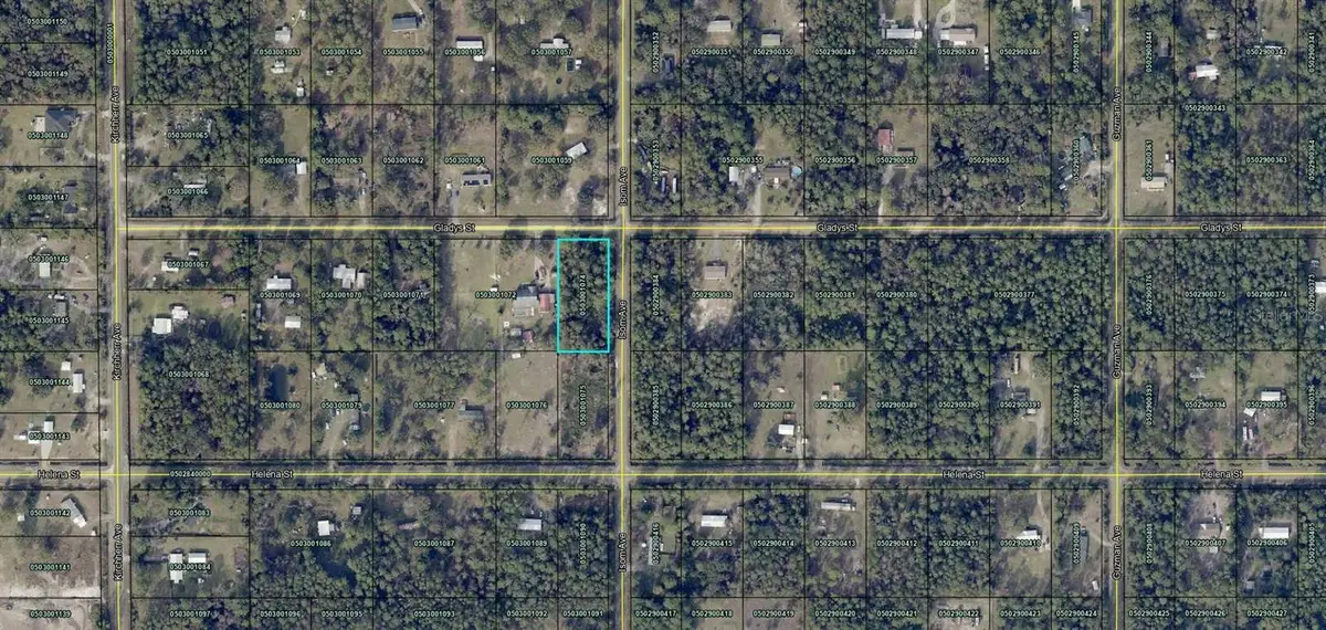 4405 Gladys St, Hastings, FL 32145 - Image #1