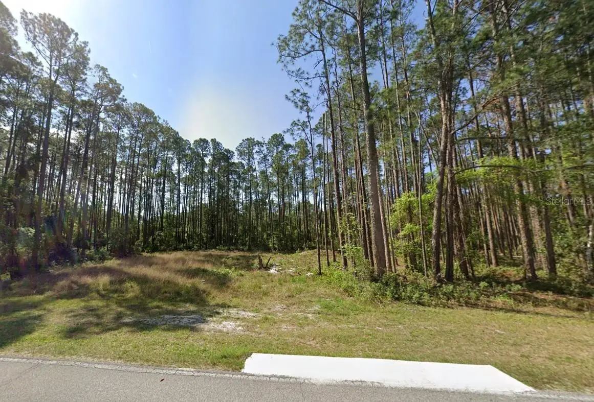 243 & 245 Georgetown Denver Road, Georgetown, FL 32139 - Image #1