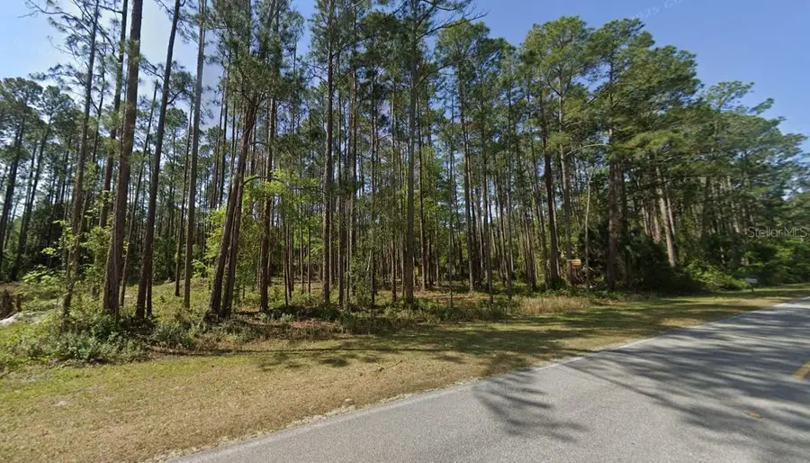 243 & 245 Georgetown Denver Road, Georgetown, FL 32139 - Image #2