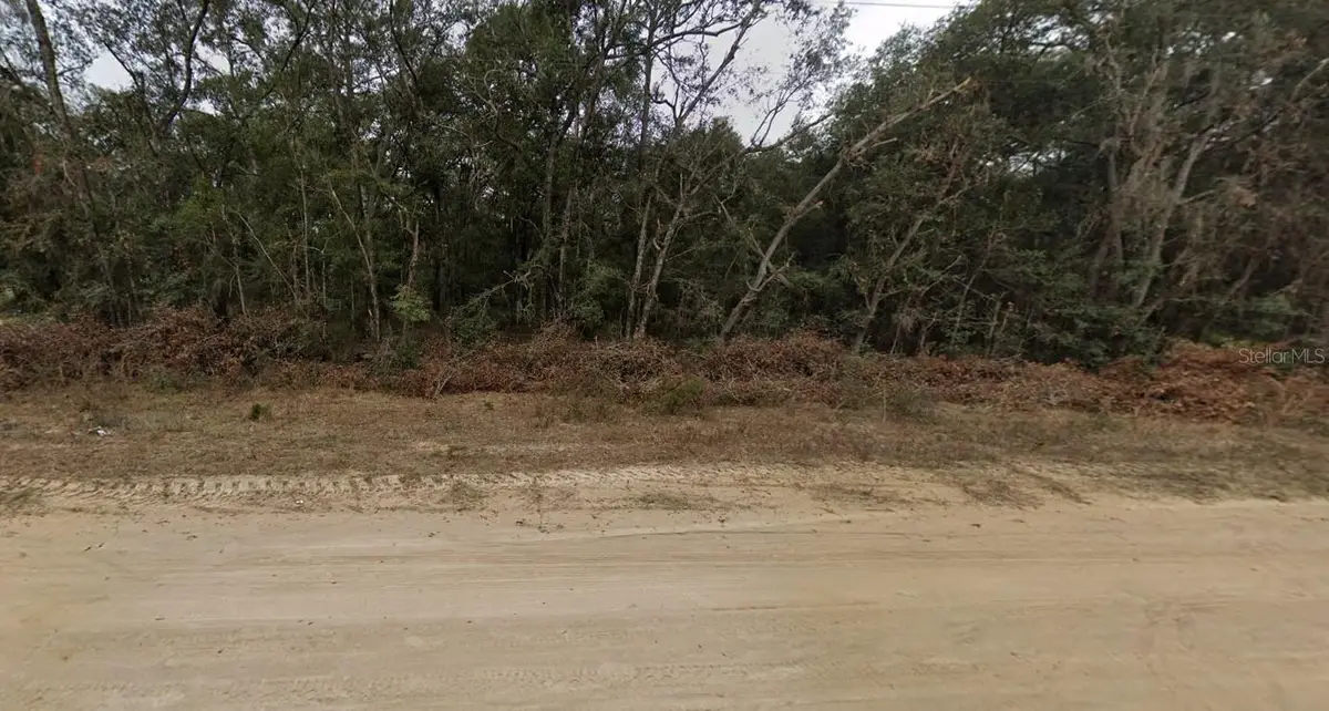 713 Brett Avenue, Interlachen, FL 32148 - Image #1