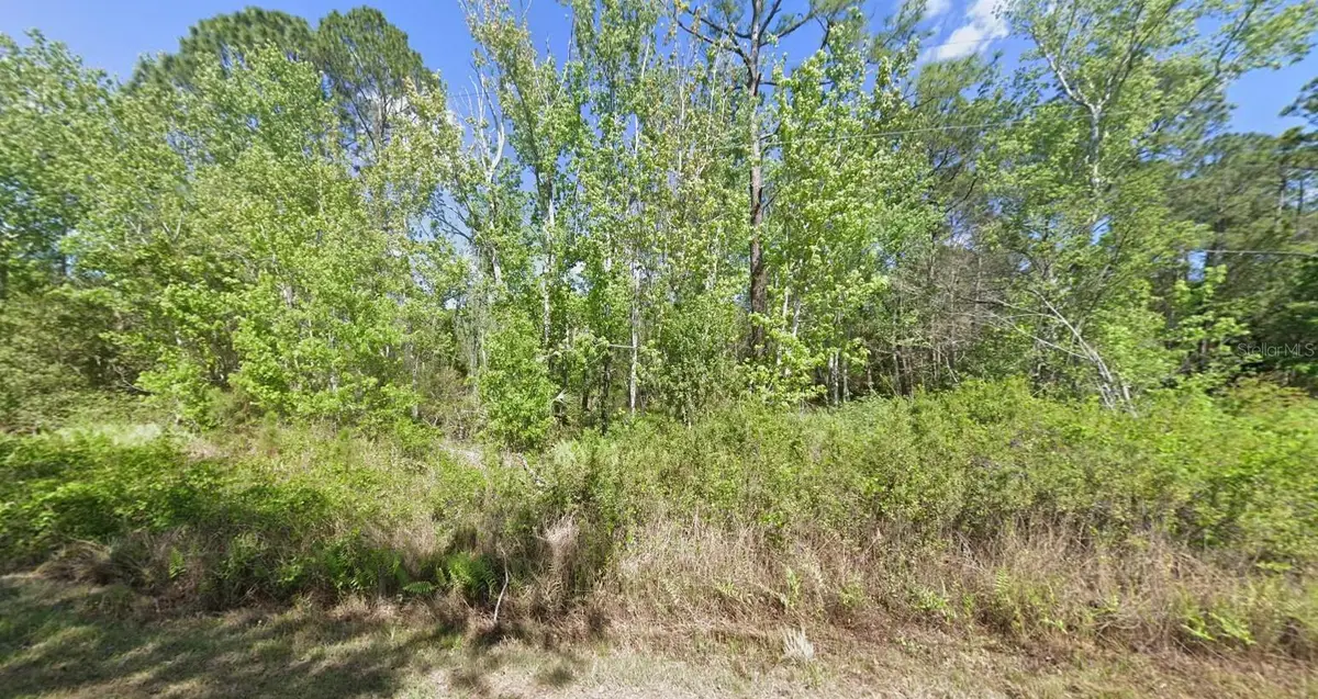 210 Redwood Boulevard, Georgetown, FL 32139 - Image #1