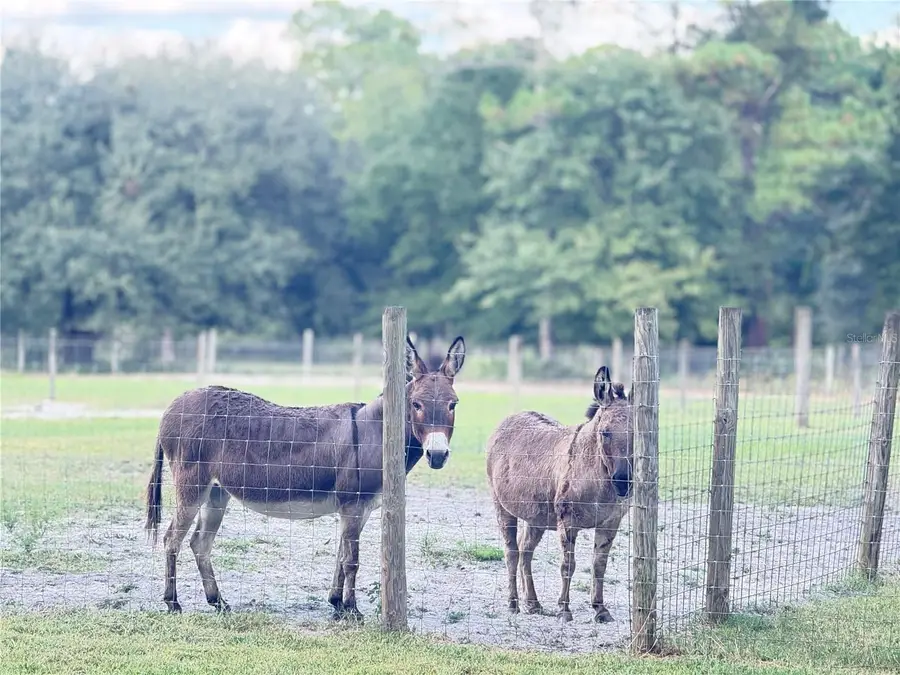 4334 Lori Loop Road, Keystone Heights, FL 32656 - Image #3