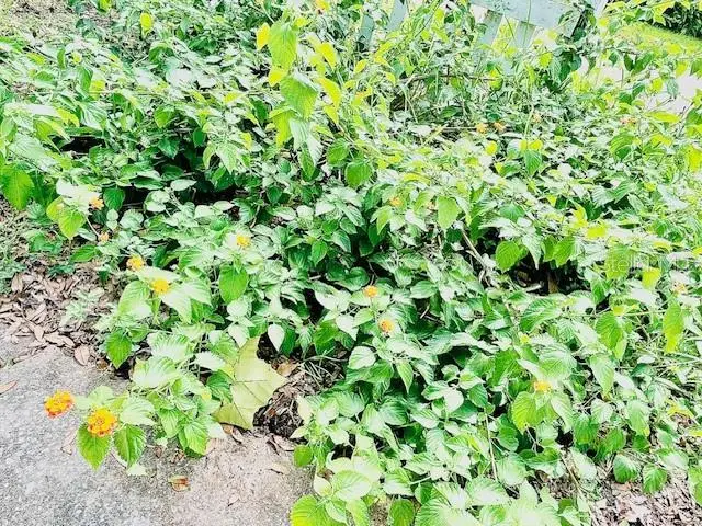 7 Brookside Circle, Ormond Beach, FL 32174 - Image #2