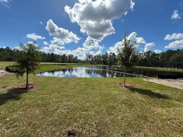 858 Grand Reserve Drive, Bunnell, FL 32110 - Image #3