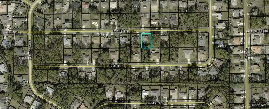 31 Raemoor Drive, Palm Coast, FL 32164 - Image #2