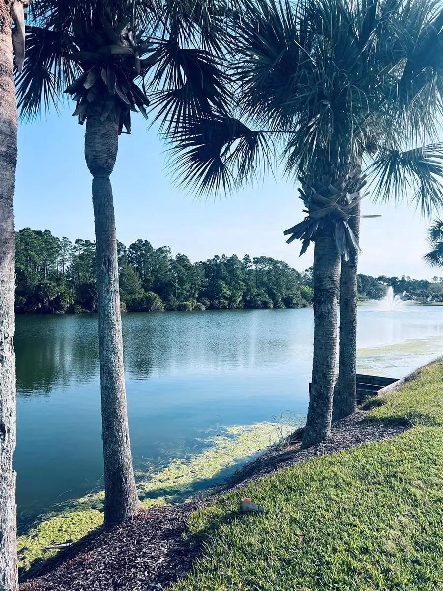 91 Emerald Lake Drive, Palm Coast, FL 32137 - Image #3