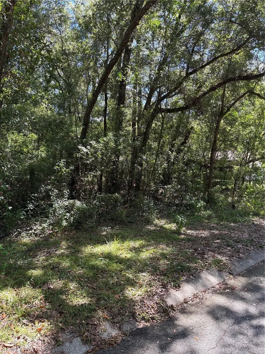 1228 Clover Terrace, Inverness, FL 34452 - Image #3