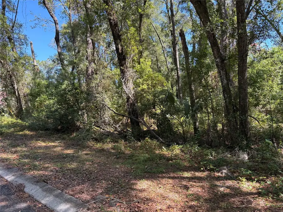 1222 Clover Terrace, Inverness, FL 34452 - Image #2