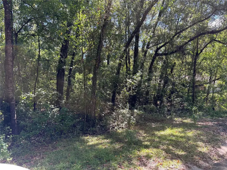 1222 Clover Terrace, Inverness, FL 34452 - Image #3