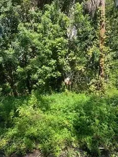 287 Selden Avenue, Ormond Beach, FL 32174 - Image #3