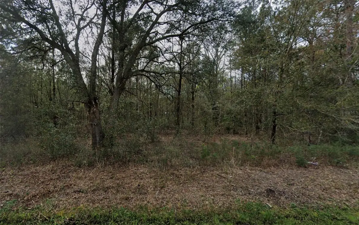 4775 Inez Street, Hastings, FL 32145 - Image #1