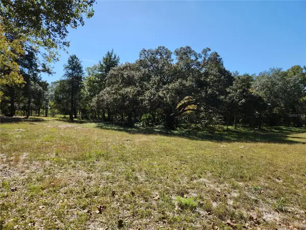 0000 Roos Lane, DELAND, FL 32724