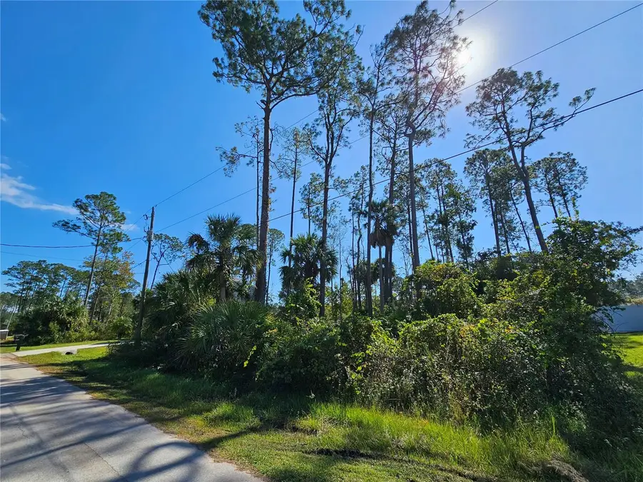 6 Poindexter Lane, Palm Coast, FL 32164 - Image #2