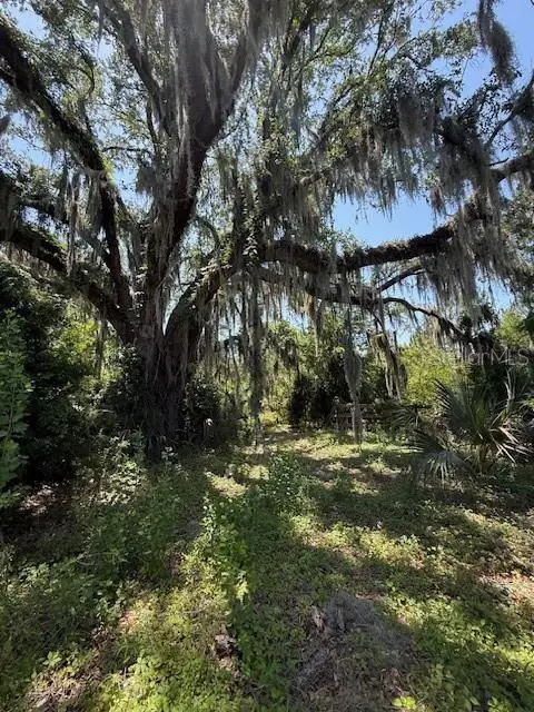 17918 NE Us Highway 301, Waldo, FL 32694 - Image #3