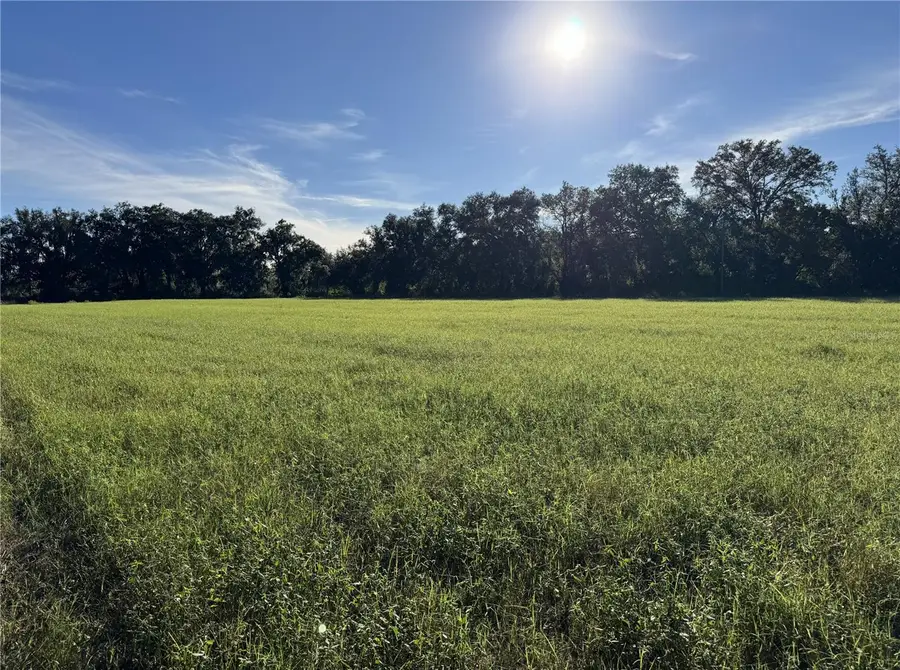 23207 E County Road 1474, Hawthorne, FL 32640 - Image #3