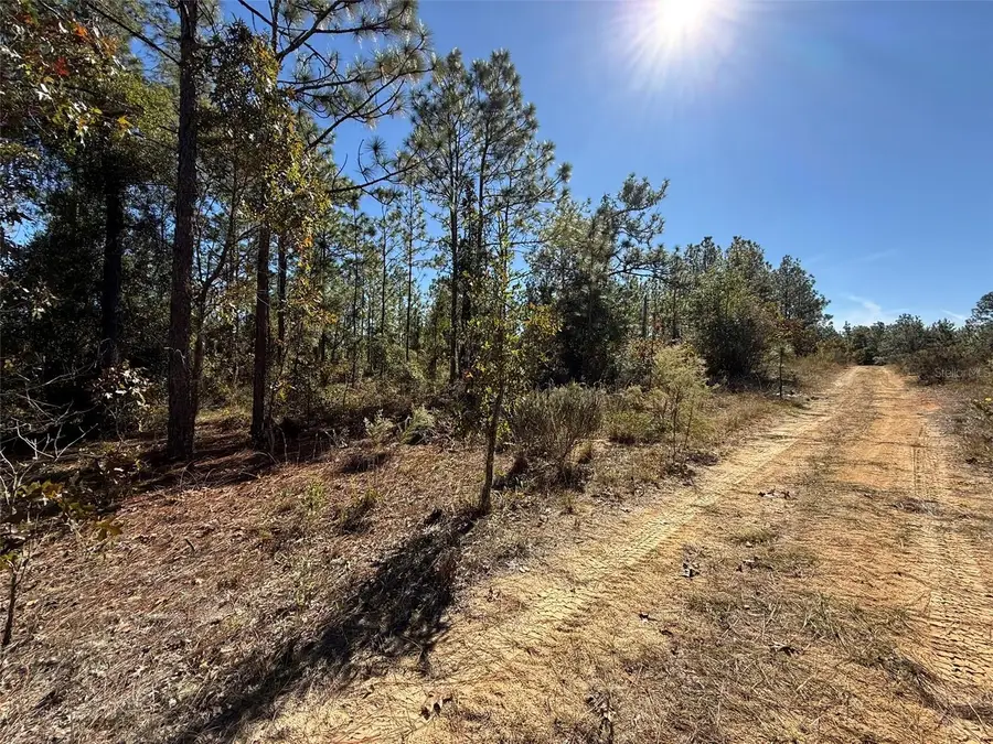 0 Monroe Ave Lot 12-17, Hawthorne, FL 32640 - Image #3