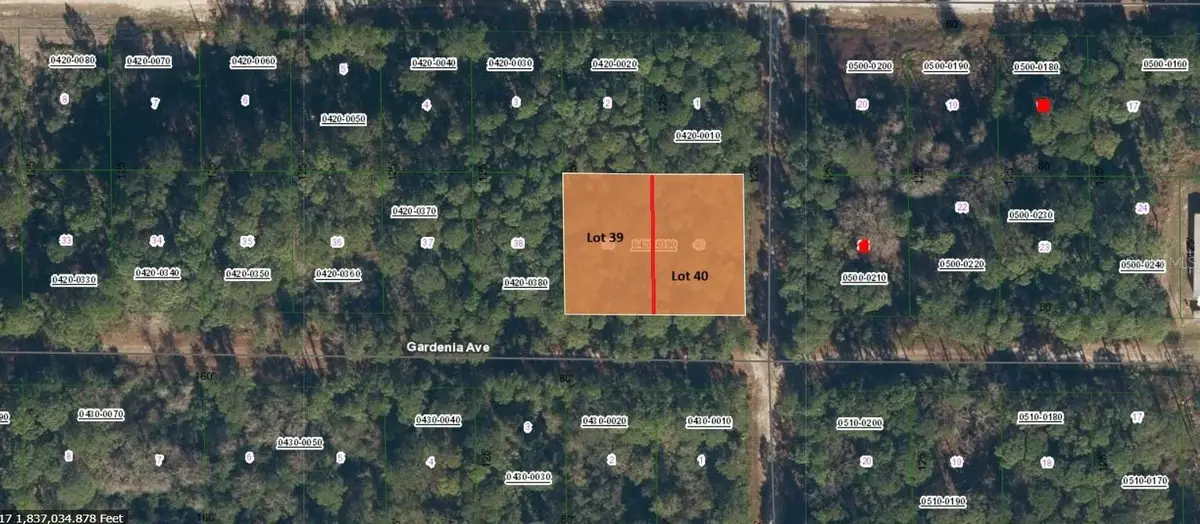 336 Gardenia Avenue, Georgetown, FL 32139 - Image #1