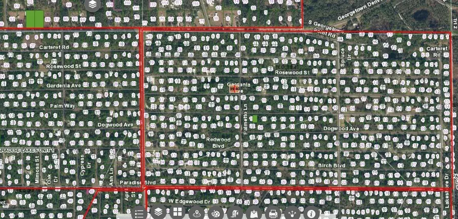 336 Gardenia Avenue, Georgetown, FL 32139 - Image #3