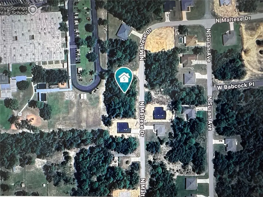 8038 N Maltese Drive, Citrus Springs, FL 34433 - Image #2