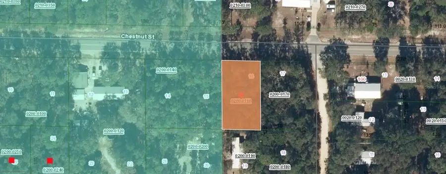 113 Chestnut Street, Interlachen, FL 32148 - Image #3