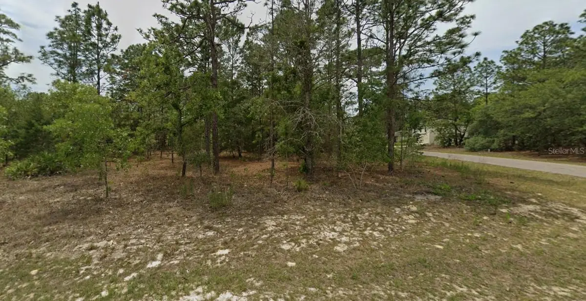 7488 N Galt Point, Citrus Springs, FL 34434 - Image #1