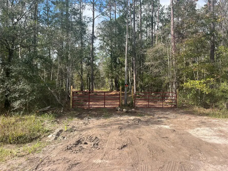 10535 Flikkema Ave, Hastings, FL 32145 - Image #2