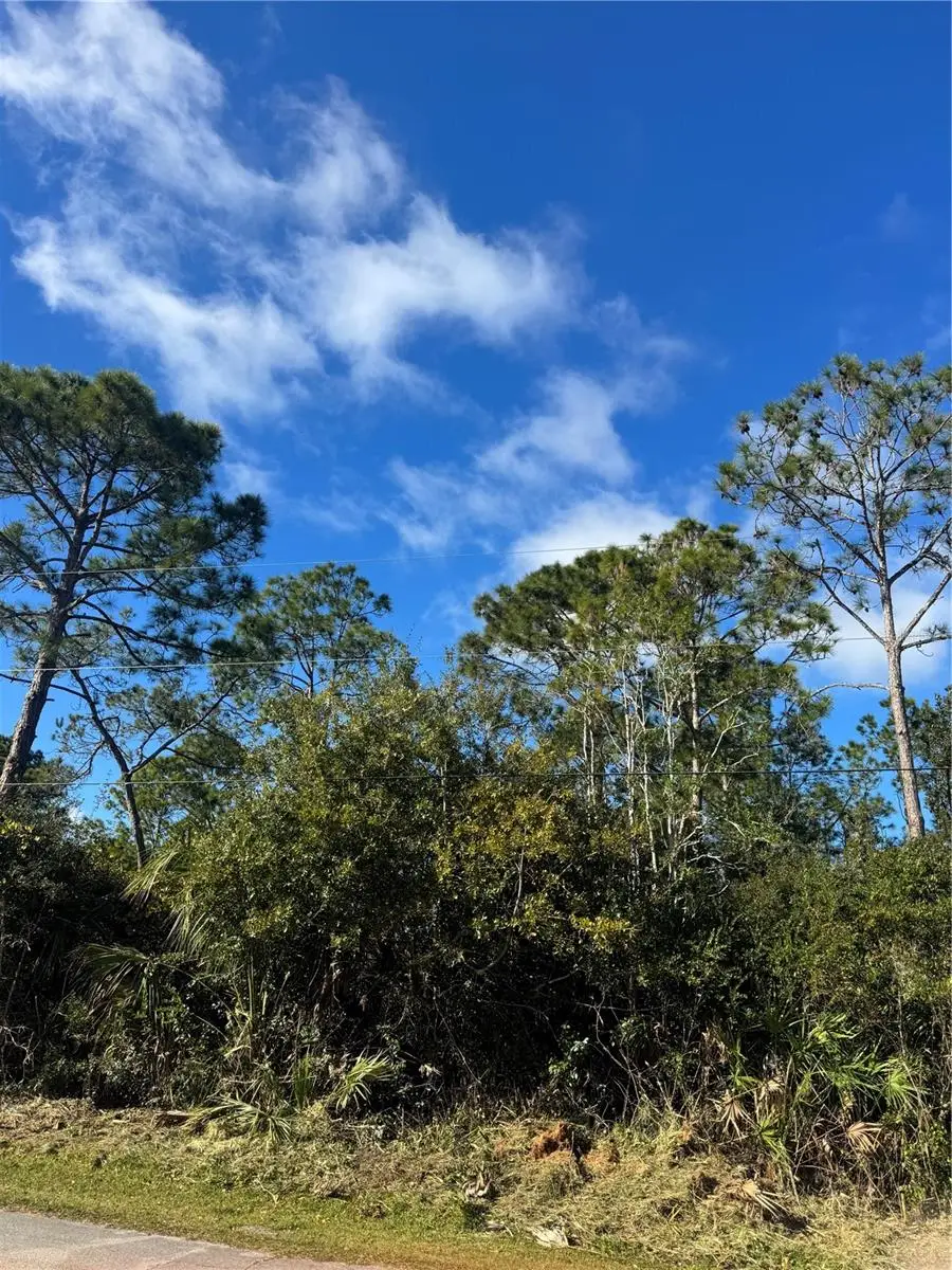 50 Wheeling Lane, Palm Coast, FL 32164 - Image #2