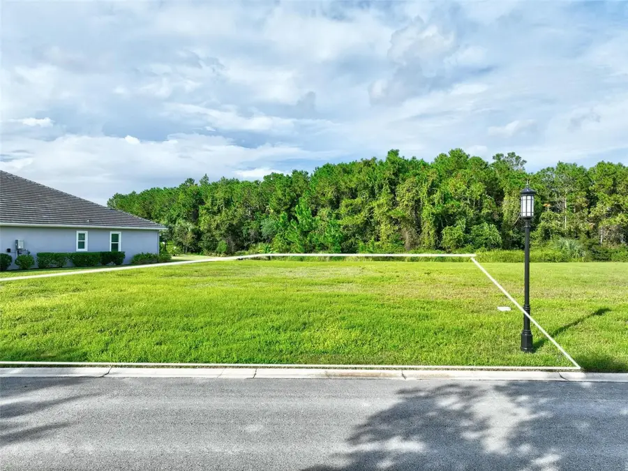 102 Marsh Elder Square, Palm Coast, FL 32137 - Image #2
