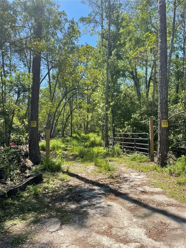 3781 Pine Pitch Court, ORMOND BEACH, FL 32174