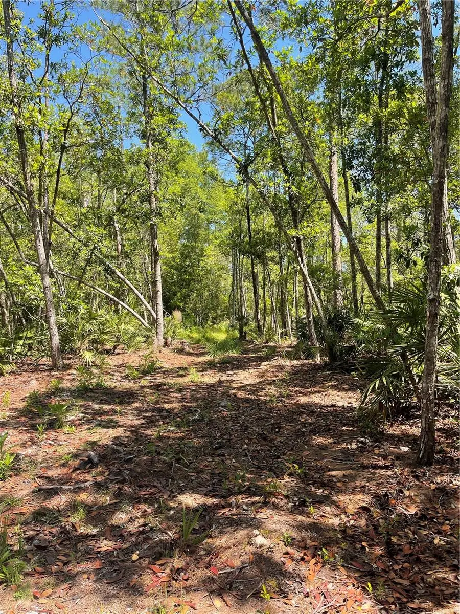 3781 Pine Pitch Court, Ormond Beach, FL 32174 - Image #3