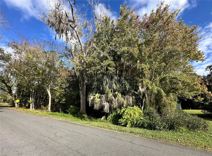 00 N Chapel Street, Bunnell, FL 32110 - Image #2