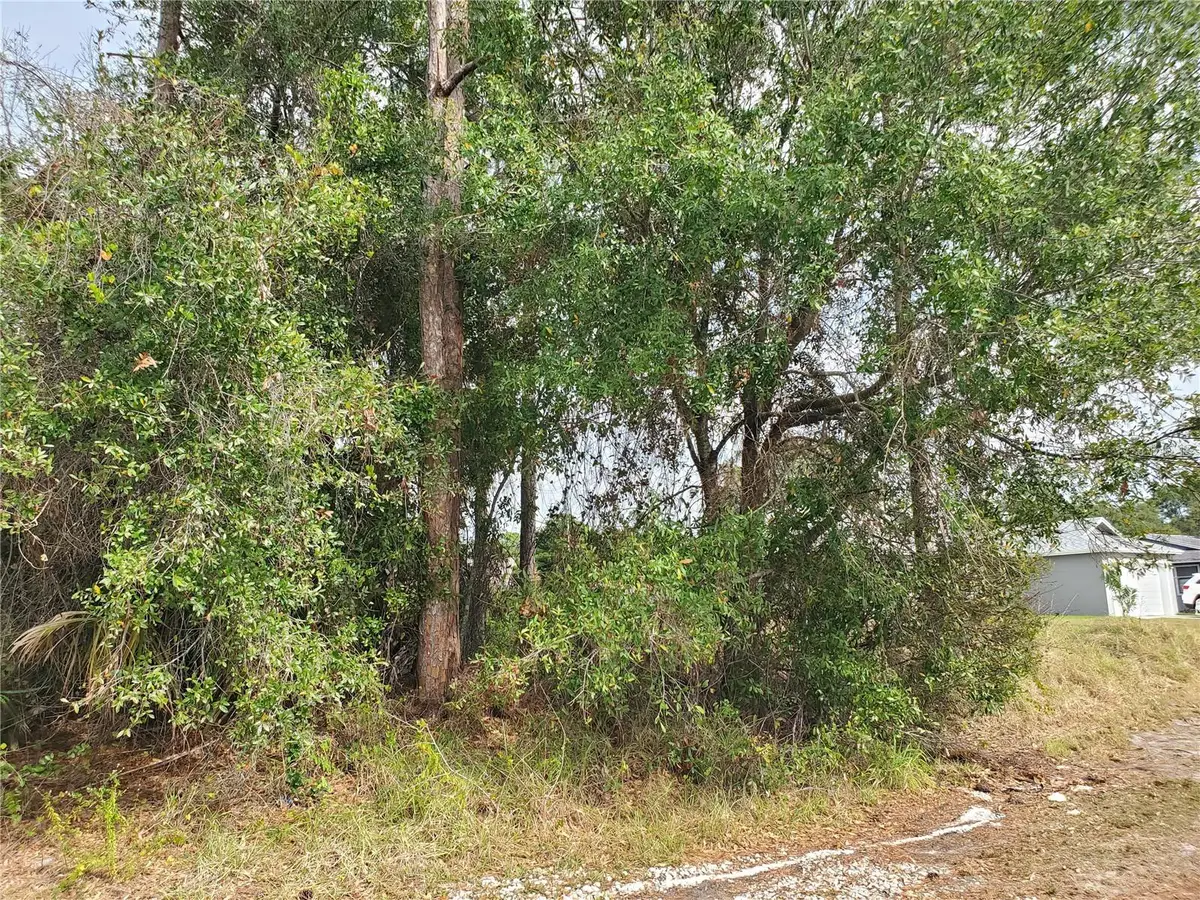 1009 SW Castaneda Lane, Port Saint Lucie, FL 34953 - Image #1