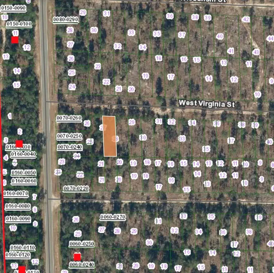 133 West Virginia Street, Hawthorne, FL 32640 - Image #2